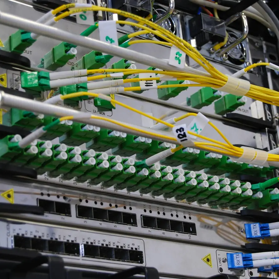 Fiber optic patch panel with organized cabling